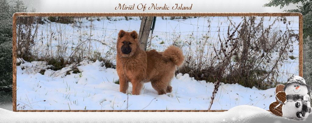 Miriel of Nordic Island