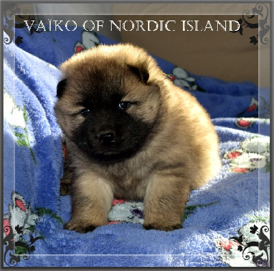 Vaïko Of Nordic Island